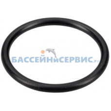 Прокладка-кольцо насоса Mayer Schwimmbad LX F02010154